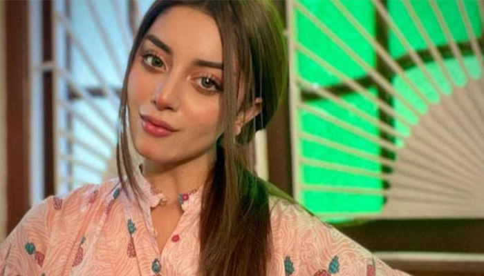 اداکارہ اپنے کام سے زیادہ متنازع حرکتوں کی وجہ سے خبروں میں رہتی ہیں۔